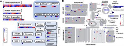 Recurrent Drought Conditions Enhance the Induction of Drought Stress Memory Genes in Glycine max L.